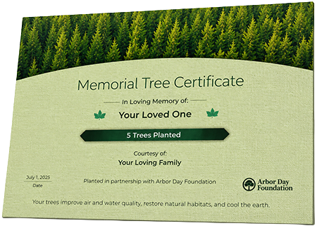 Plant Trees in Memory of Robert Joseph O